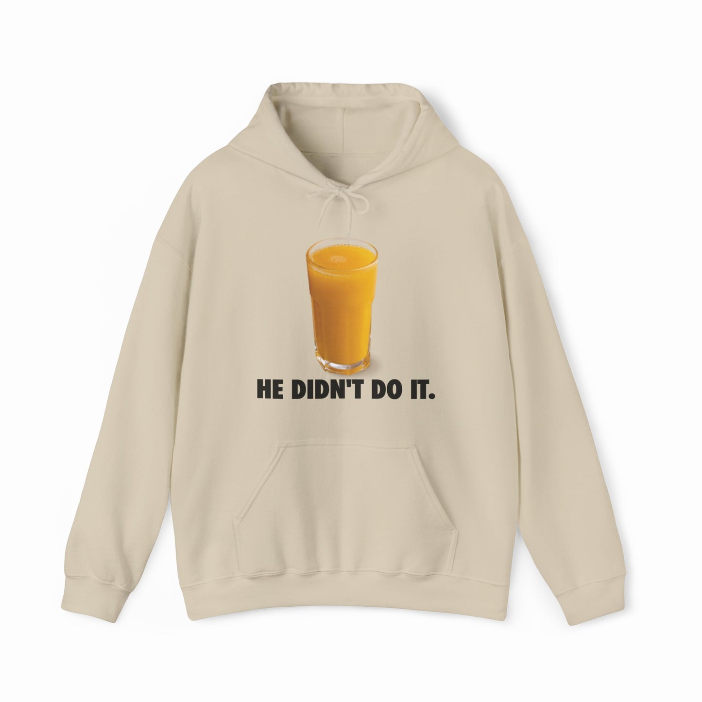 He Didn't Do It Hoodie
