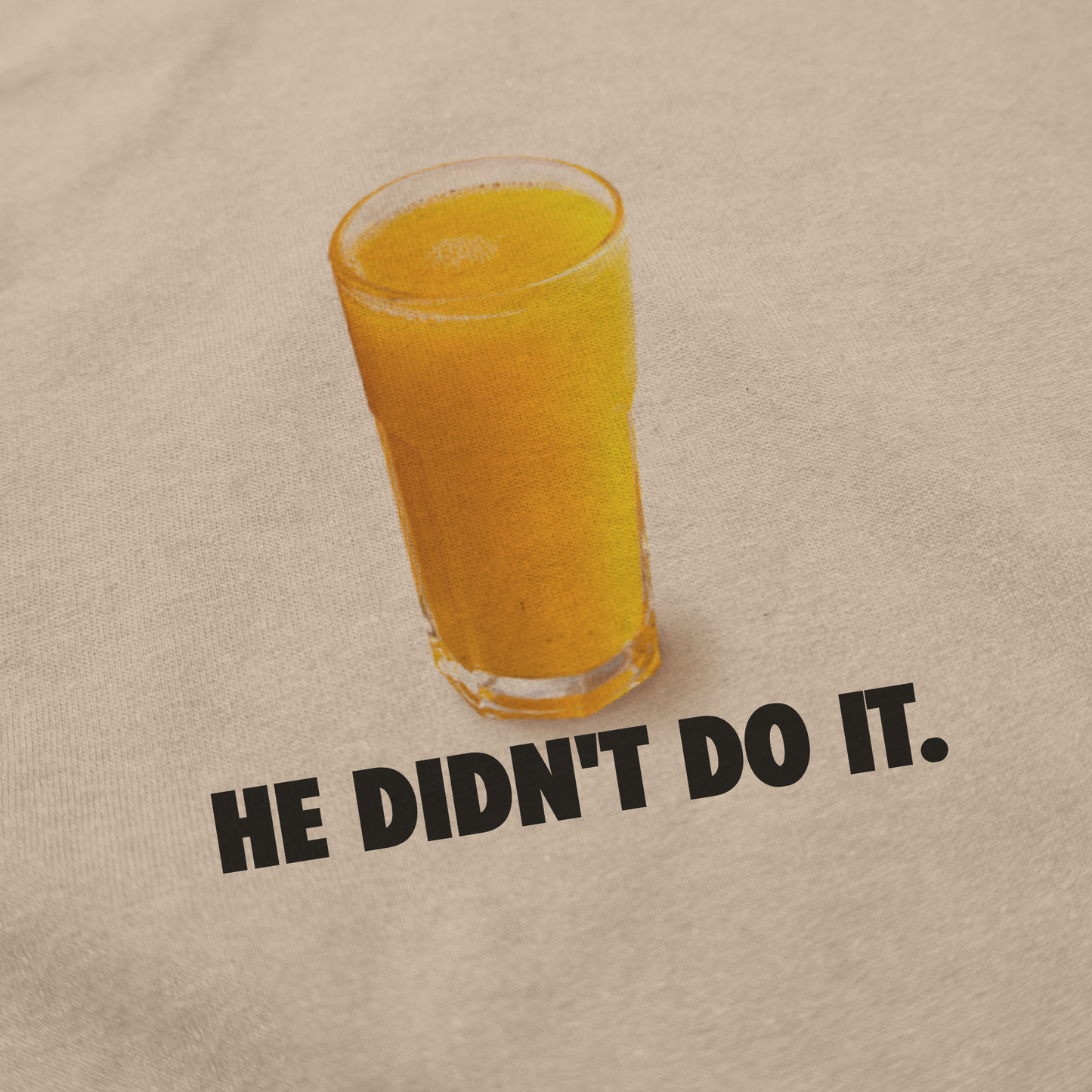 He Didn't Do It T-Shirt