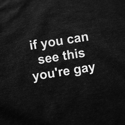 If You Can See This You're Gay T-Shirt