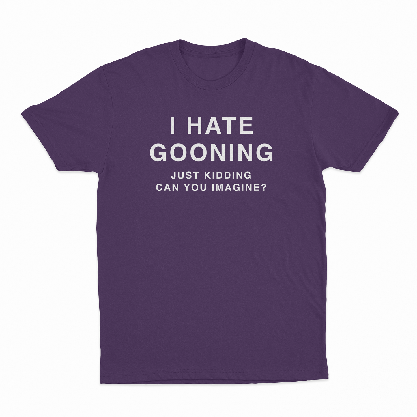 I Hate Gooning Just Kidding Can you Imagine T-Shirt