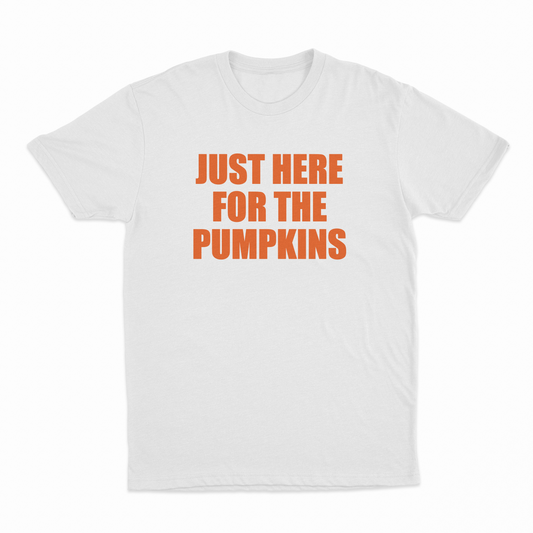 Pumpkins 2–Pack