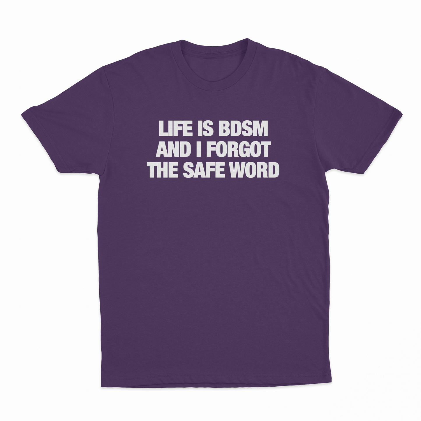 Life Is BDSM And I Forgot The Safe Word T-Shirt