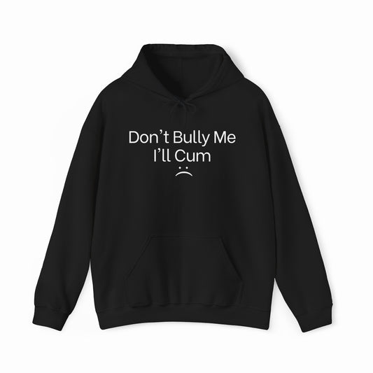 Don't Bully Me I'll Cum Hoodie