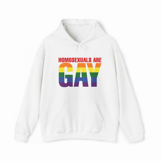 Homosexuals Are Gay Hoodie