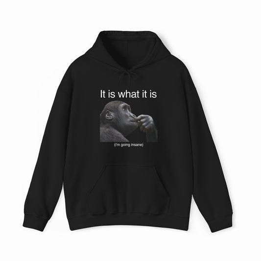 It Is What It Is Hoodie