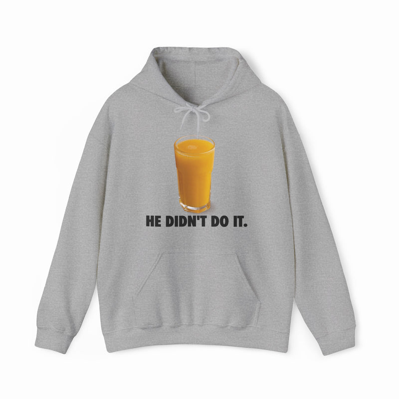 He Didn't Do It Hoodie