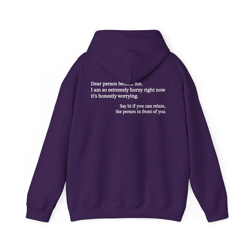 Dear Person Behind Me Horny Hoodie