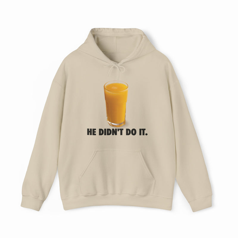 He Didn't Do It Hoodie