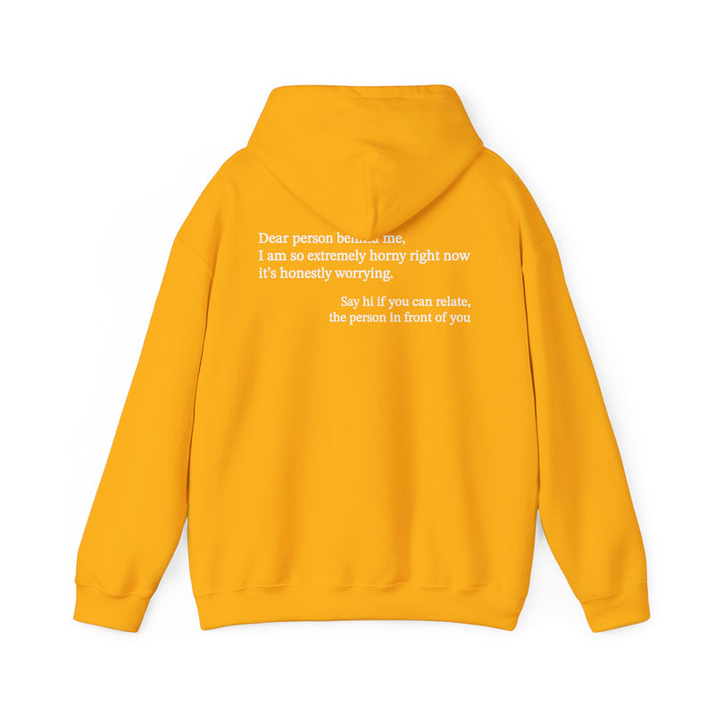 Dear Person Behind Me Horny Hoodie