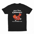 Are You Chinese Cuz I'm China Fuck T-Shirt