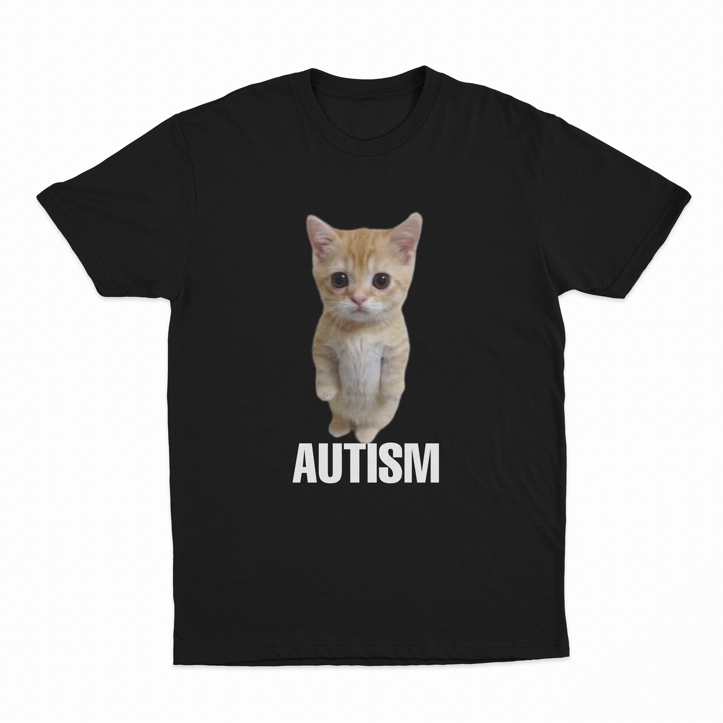 Autism Cat T-Shirt