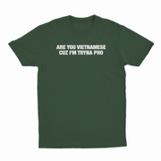 Are You Vietnamese Cuz I'm Tryna Pho T-Shirt