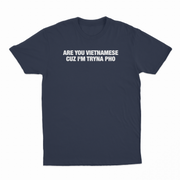 Are You Vietnamese Cuz I'm Tryna Pho T-Shirt