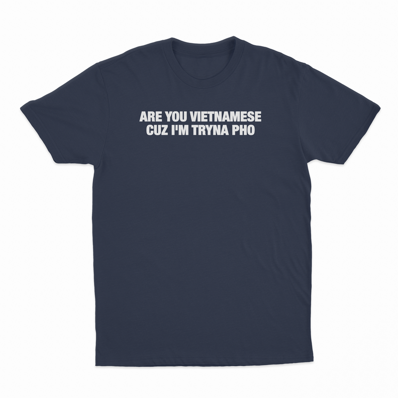 Are You Vietnamese Cuz I'm Tryna Pho T-Shirt