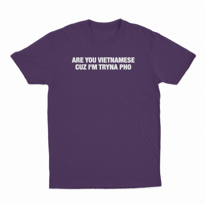 Are You Vietnamese Cuz I'm Tryna Pho T-Shirt