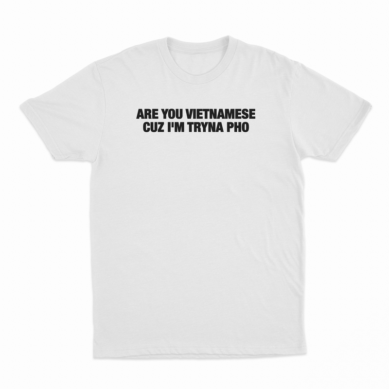 Are You Vietnamese Cuz I'm Tryna Pho T-Shirt