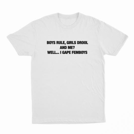 Boys Rule Girls Drool And Me Well I Gape Femboys T-Shirt