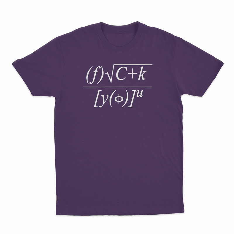 Fuck You Math Equation T-Shirt