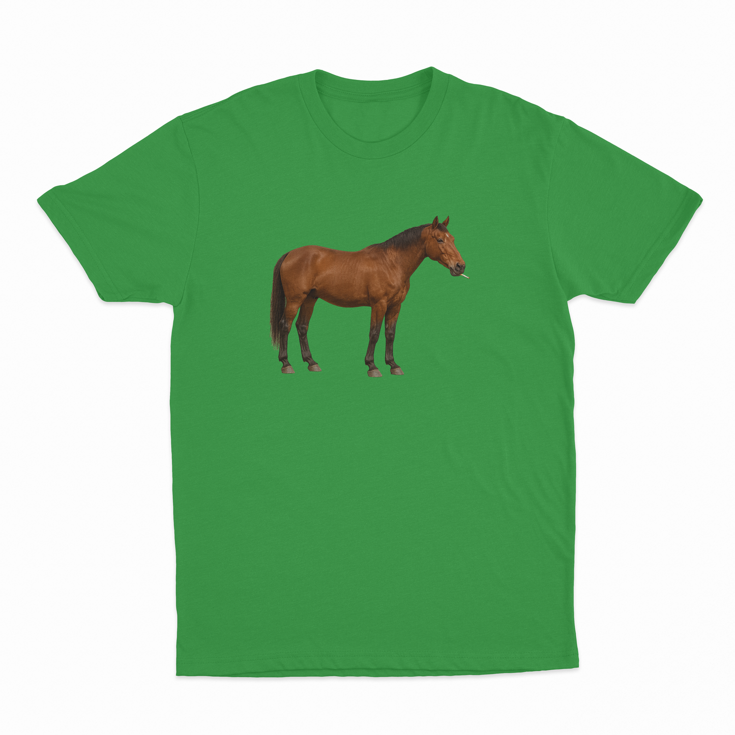 Horse Smoking Cigarette T-Shirt