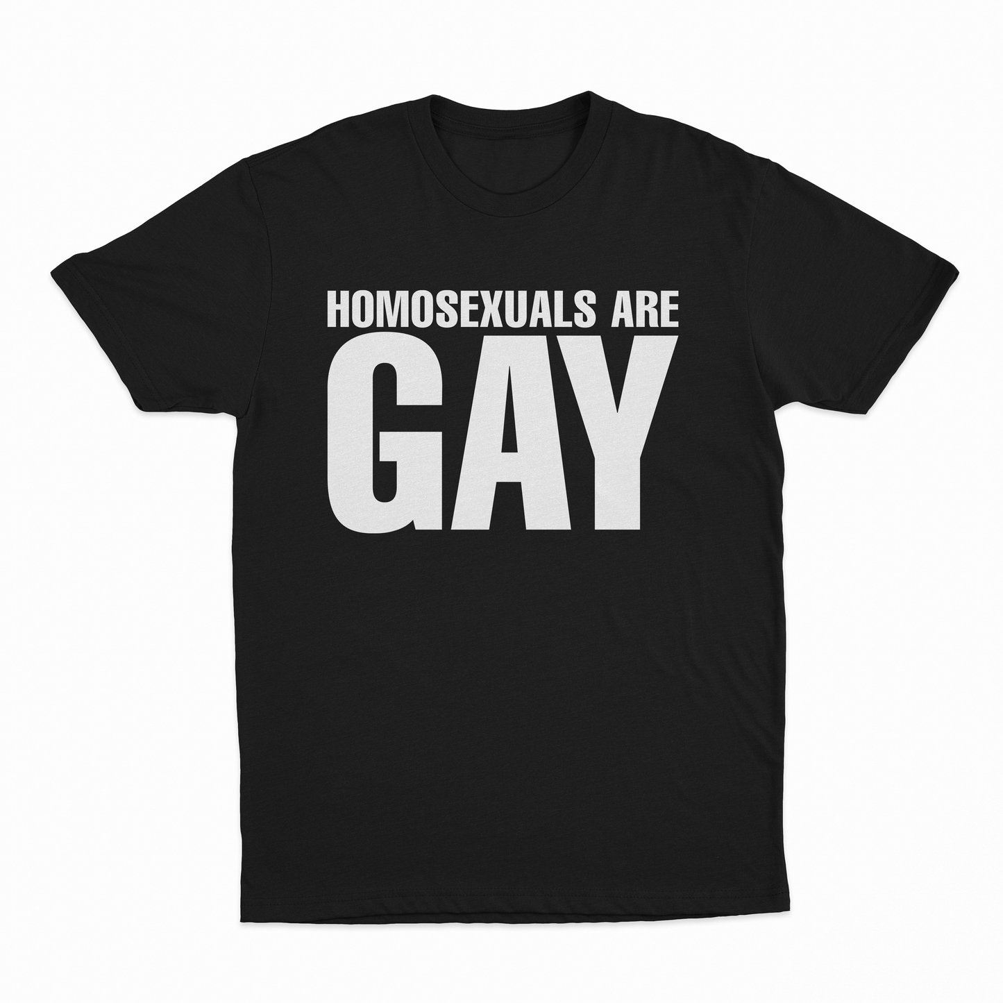 Homosexuals Are Gay T-Shirt