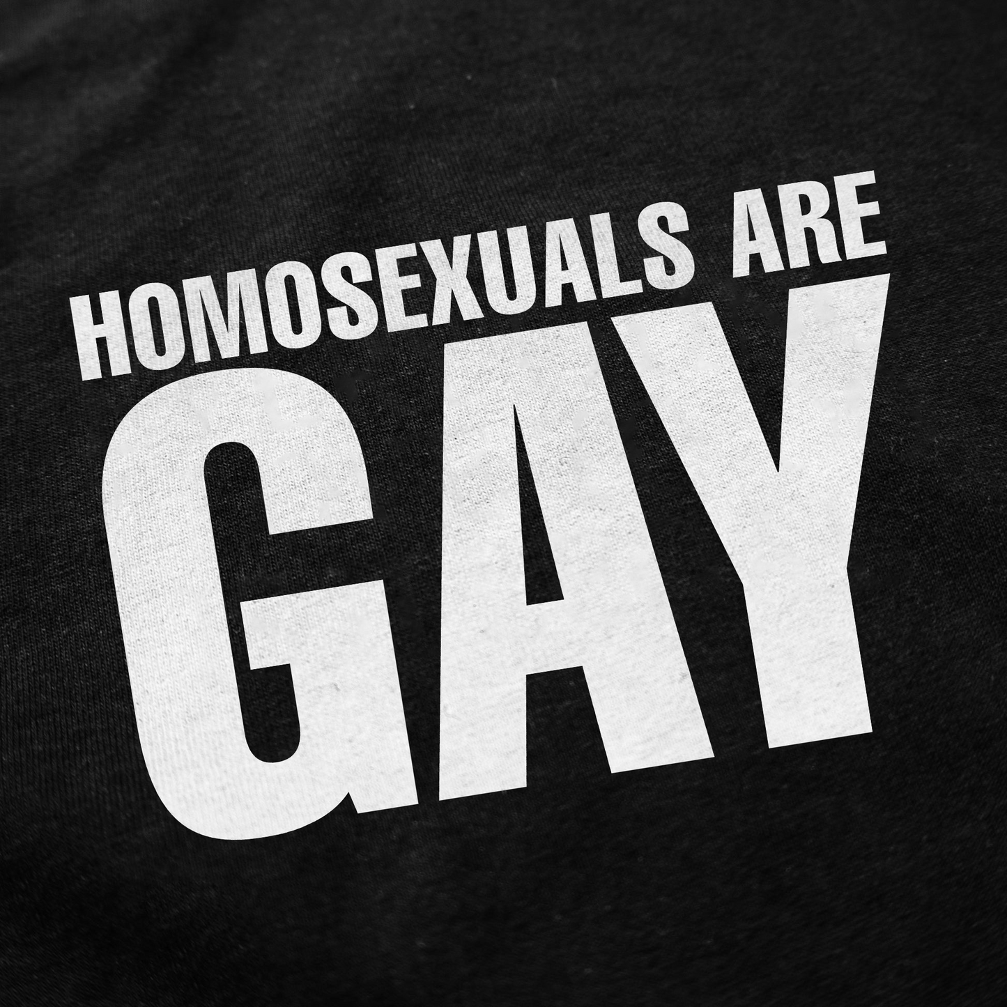 Homosexuals Are Gay T-Shirt