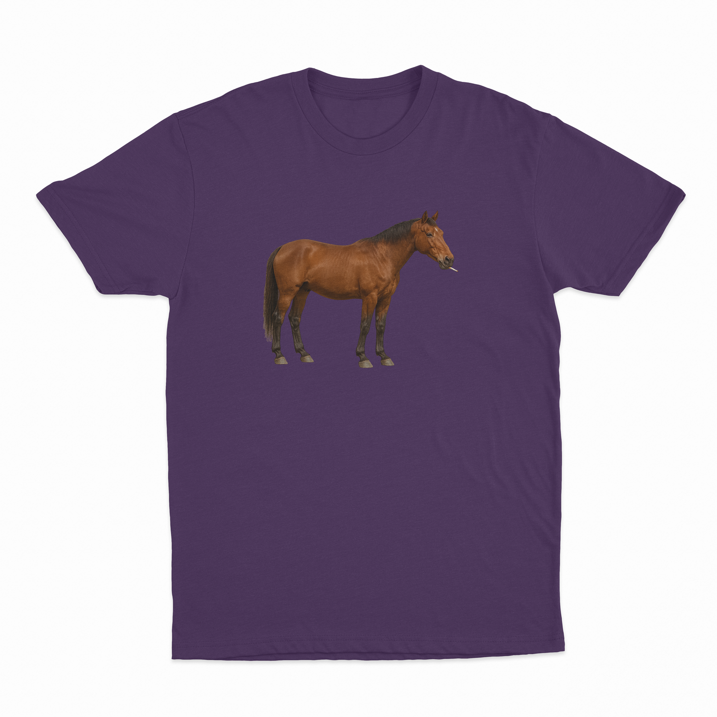 Horse Smoking Cigarette T-Shirt