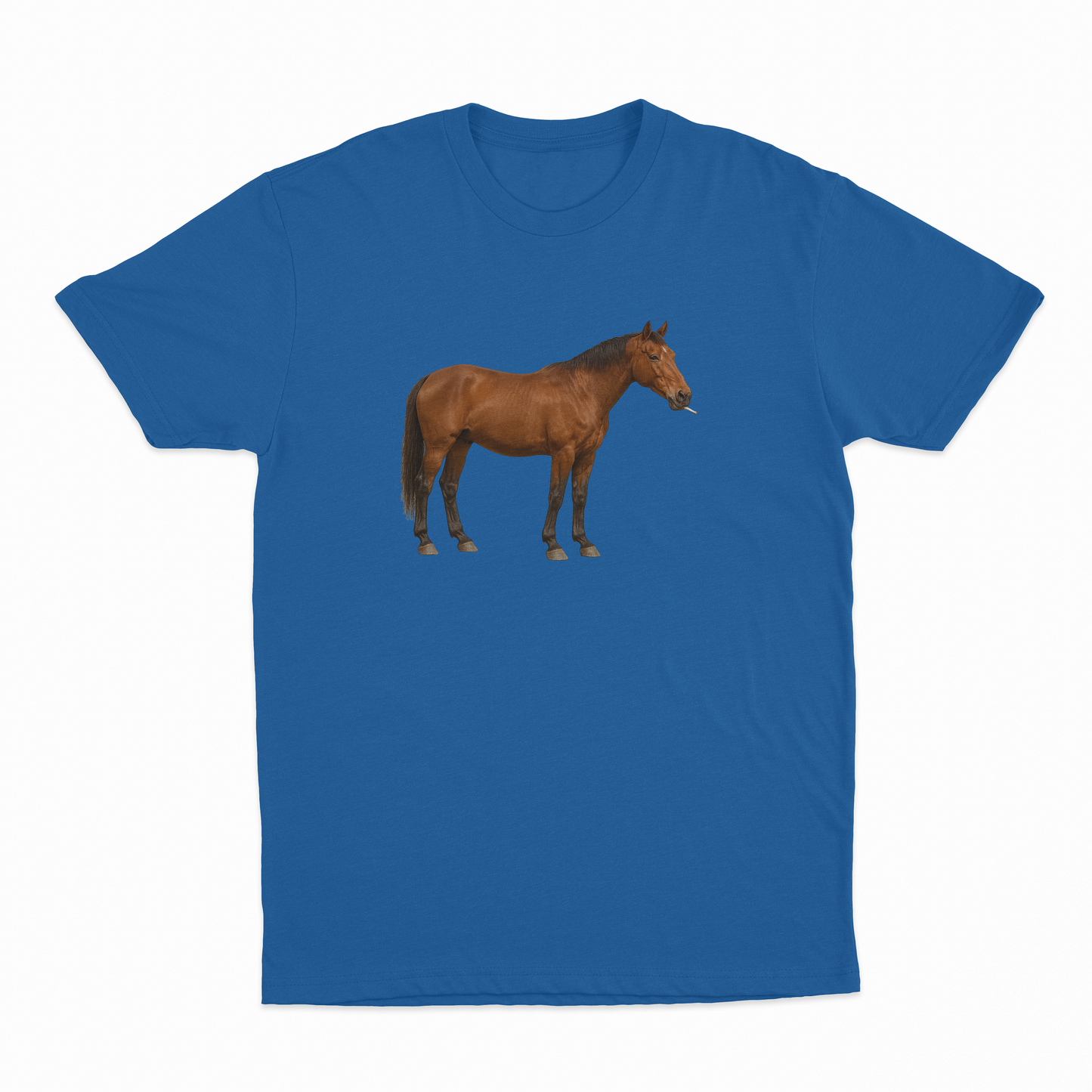 Horse Smoking Cigarette T-Shirt