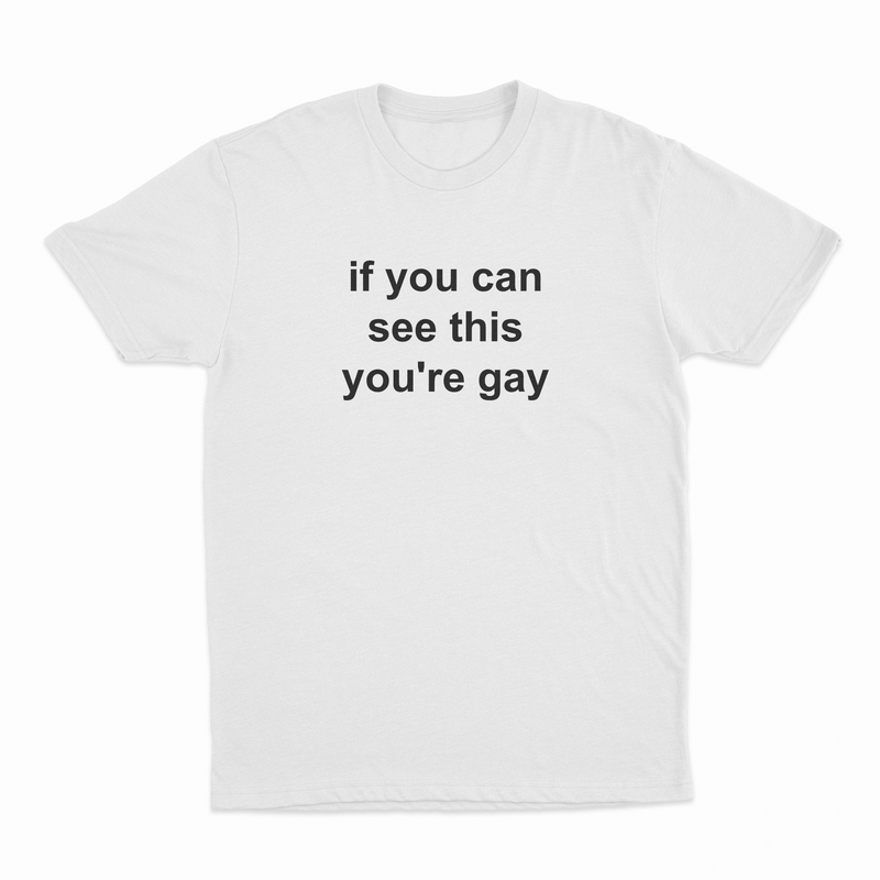 If You Can See This You're Gay T-Shirt