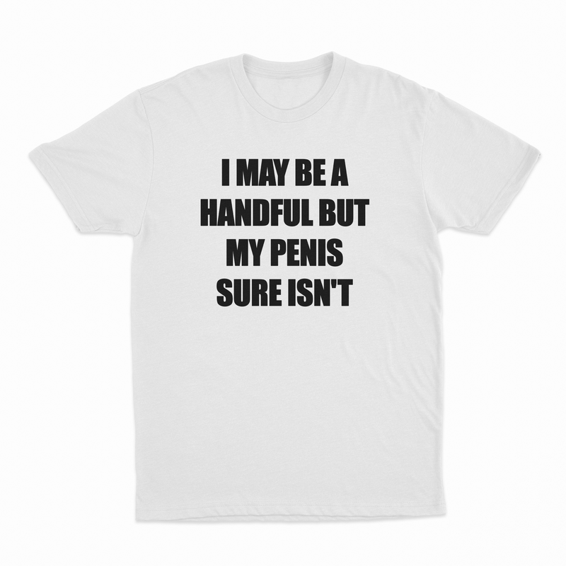 I May Be A Handful But My Penis Sure Isn't T-Shirt