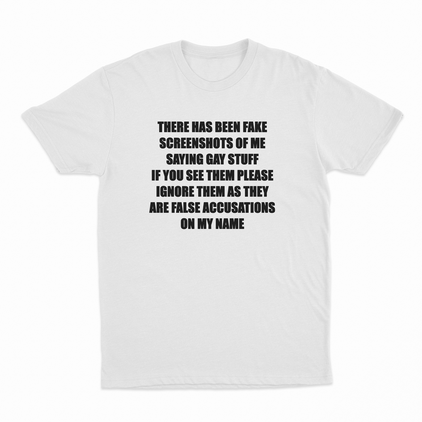 There Has Been Fake Screenshots Of Me Saying Gay Stuff T-Shirt