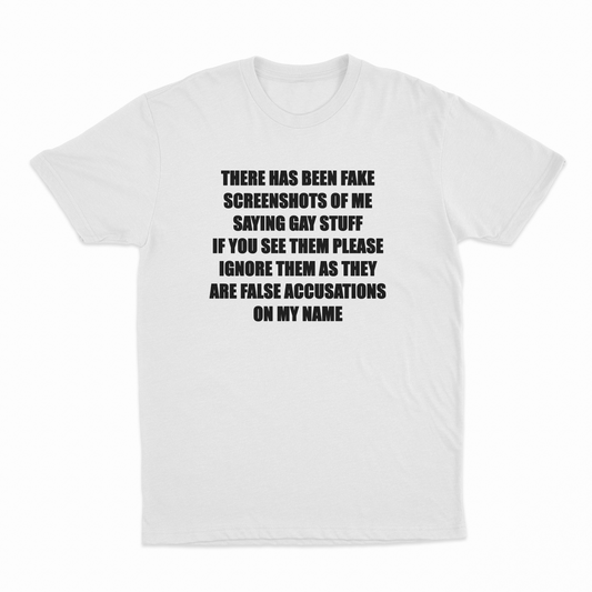 There Has Been Fake Screenshots Of Me Saying Gay Stuff T-Shirt
