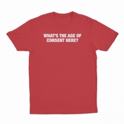 What's The Age Of Consent Here T-Shirt
