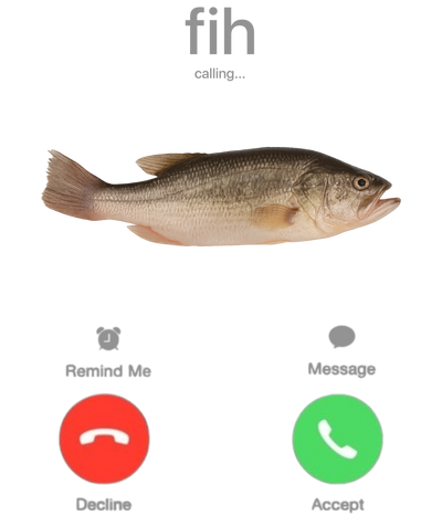 Fish with a phone interface showing 'fih calling' on a white background