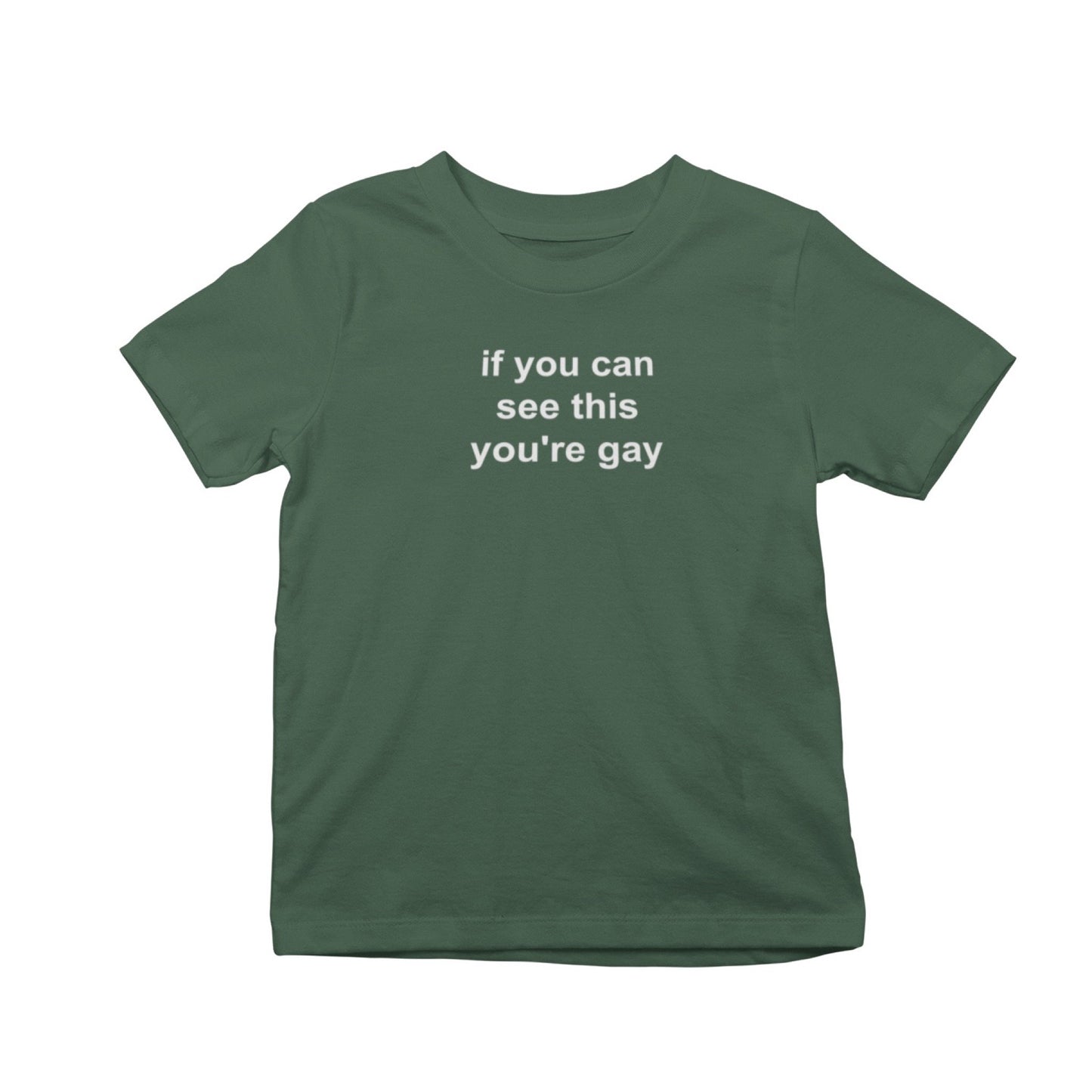 If You Can See This You're Gay T-Shirt