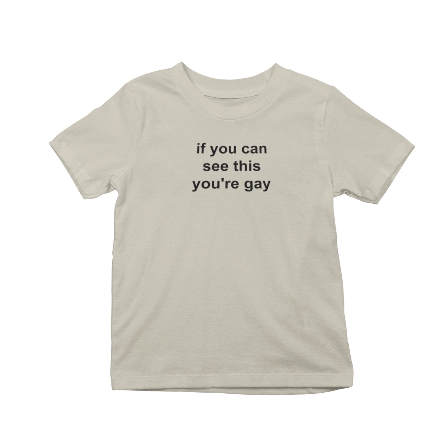 If You Can See This You're Gay T-Shirt