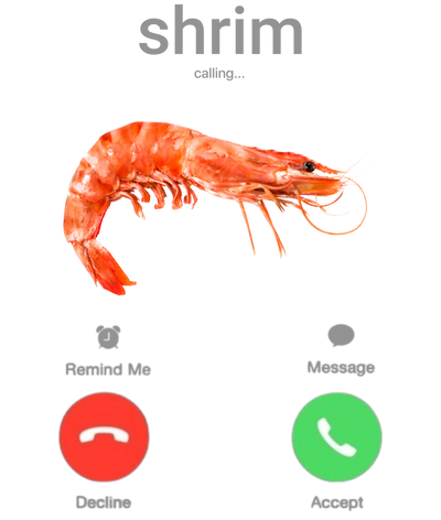 Phone call interface with a shrimp icon and 'shrim calling' text on a white background.