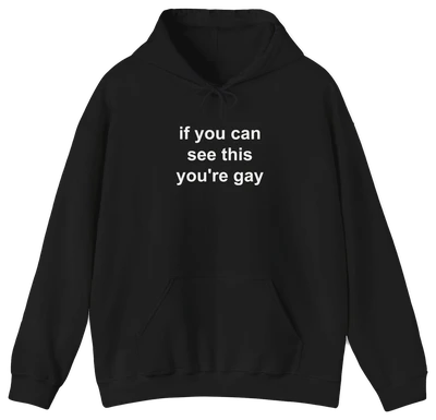 If You Can See This You're Gay Hoodie