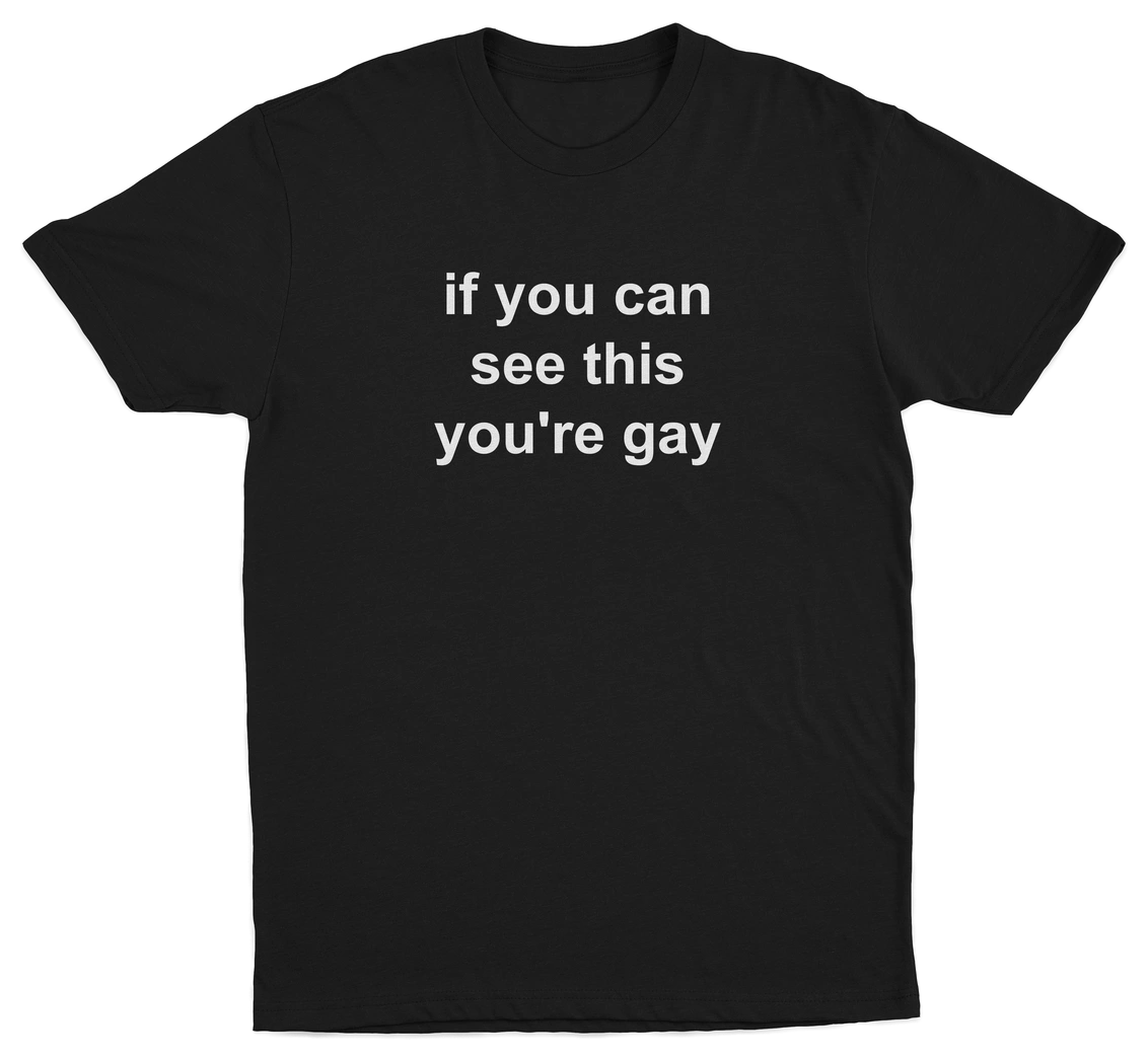 If You Can See This You're Gay T-Shirt