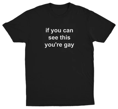 If You Can See This You're Gay T-Shirt